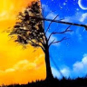 Meet your Posher, Sierra